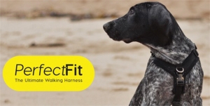 Perfect Fit Harnesses